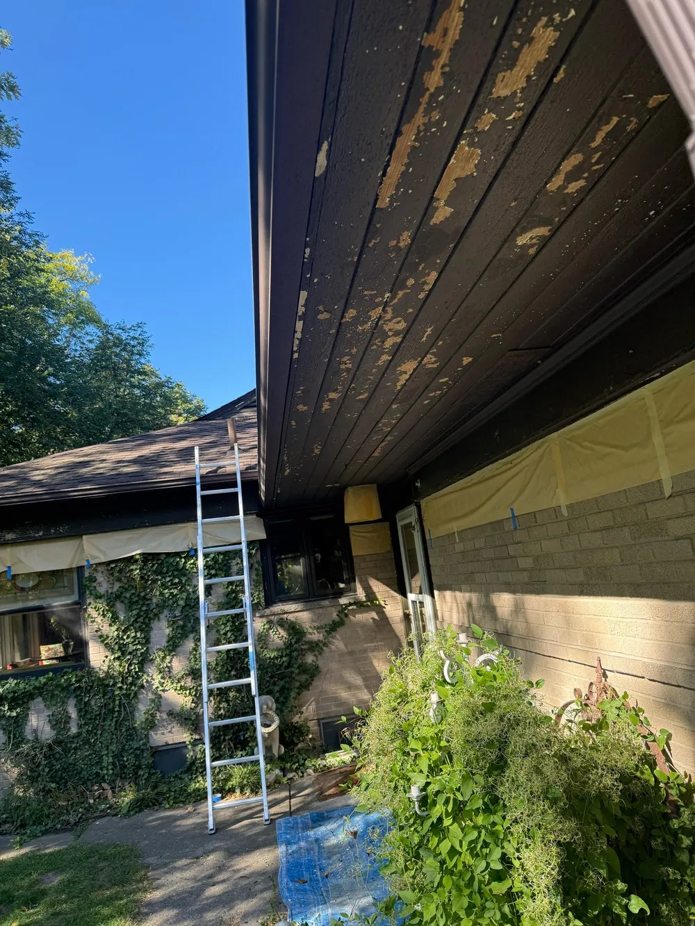 Peeling paint exposes wood on a ranch soffit above a patio